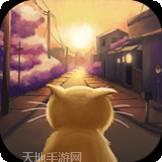 喵星人