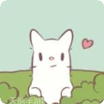猫咪物语