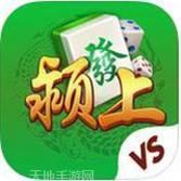 颖上杠后翻麻将