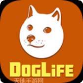 Dogbot Rush