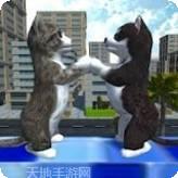 可爱的星际世界