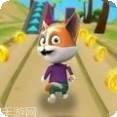 猫咪跑步趣