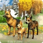 狗狗大刀40米