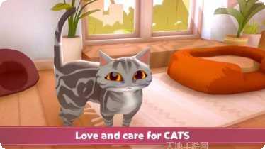 我的猫咪会打碟攻略分享