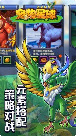 宠物星球BT超V版礼包