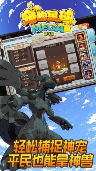 宠物星球BT超V版激活码