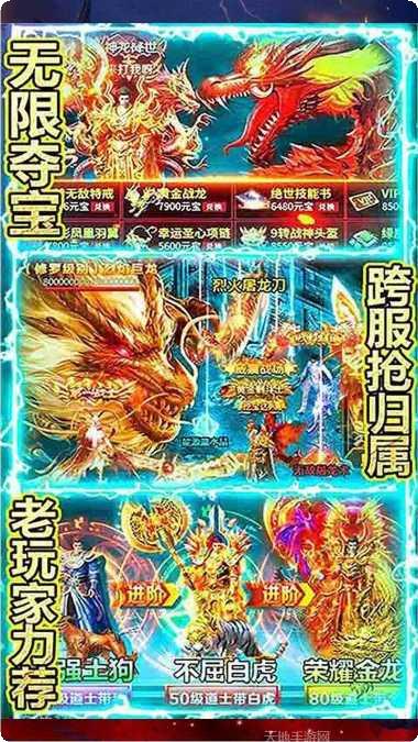 御龙天下最新版本