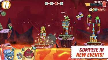 Angry Pig游戏攻略