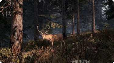 this cell游戏攻略