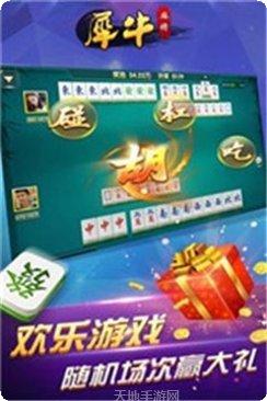 大对子棋牌下载安装