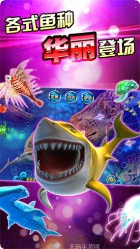 犀游互动棋牌游戏