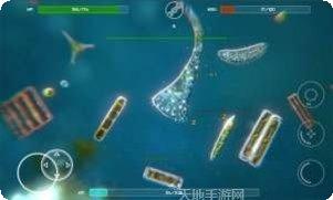 孢子进化模拟器2攻略