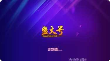 盛大号棋牌玩法