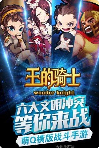 王的骑士角色推荐