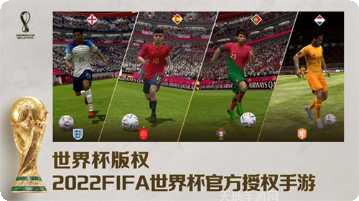 FIFA足球世界转会市场