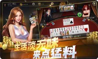 掌上鹤城下载地址