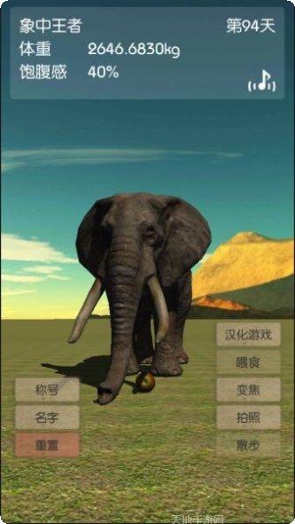 3D大象养成攻略