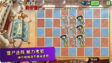花花也疯狂好玩吗