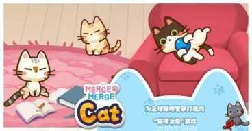 猫咪合十玩家交流