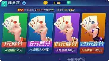 武冈大联盟玩法介绍