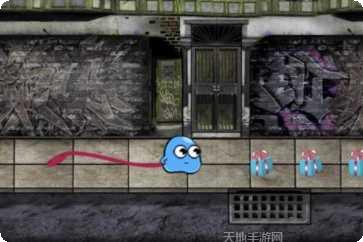 养只小黄鸡心得