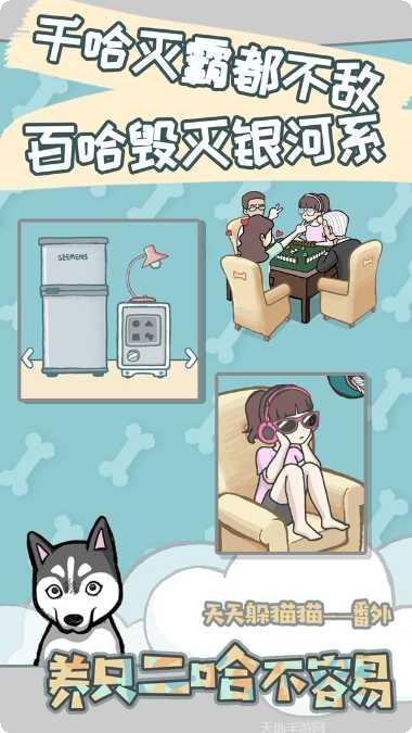 养只二哈不容易攻略