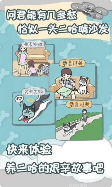 养只二哈不容易玩法