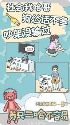 养只二哈不容易技巧