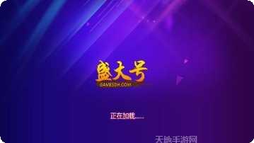 盛大号棋牌游戏