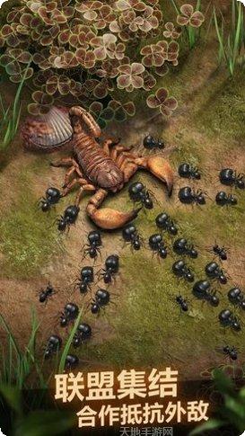 The Guides Axiom游戏评测