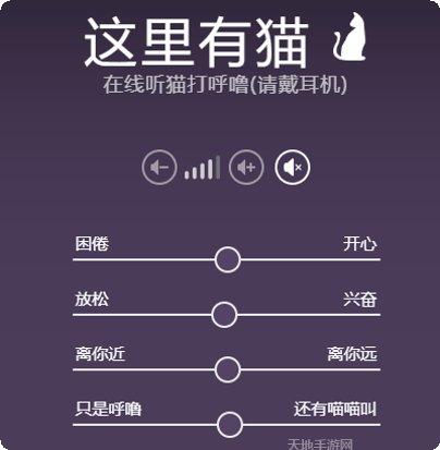 这里有猫隐藏任务