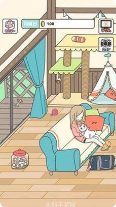 铲屎官的烦恼攻略