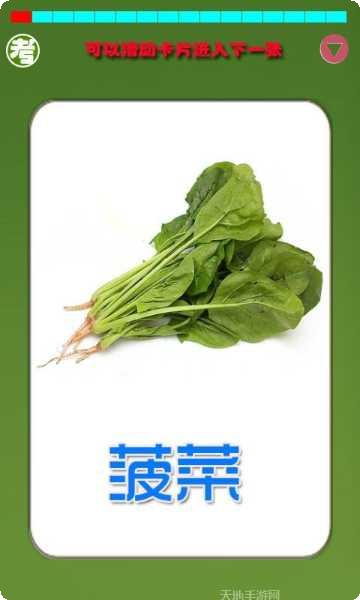 宝宝识图学画早教游戏