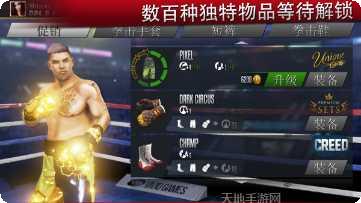 真实拳击对决技巧分享