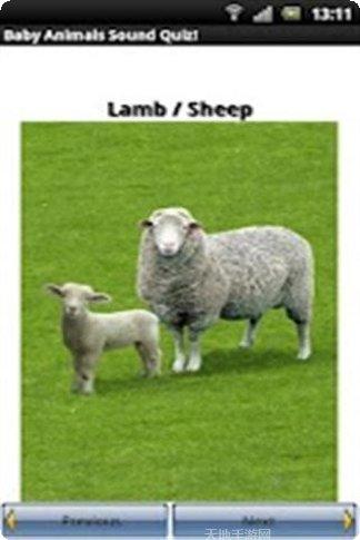 动物图像与叫声识别游戏