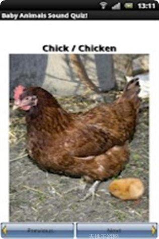 动物图像与叫声匹配挑战