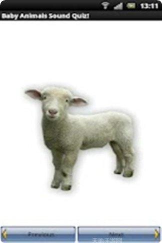 动物图像与叫声记忆卡片