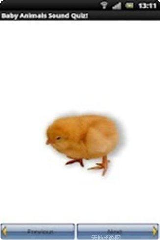 动物图像与叫声互动教学