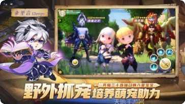 梦幻岛勇士宠物养成