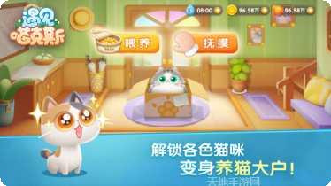 遇见喵克斯下载方法