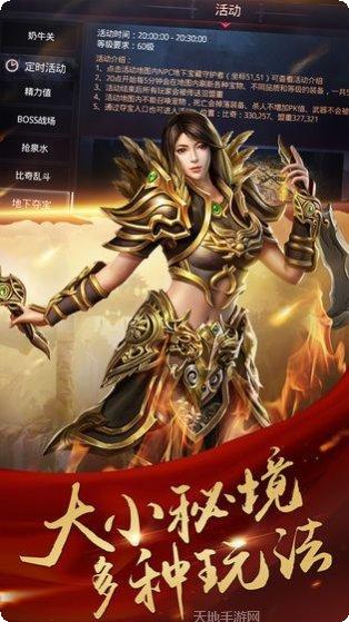 单职业霸王玩法介绍