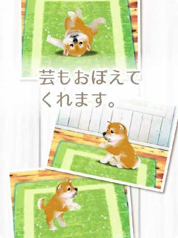 治愈系海蜇养成攻略