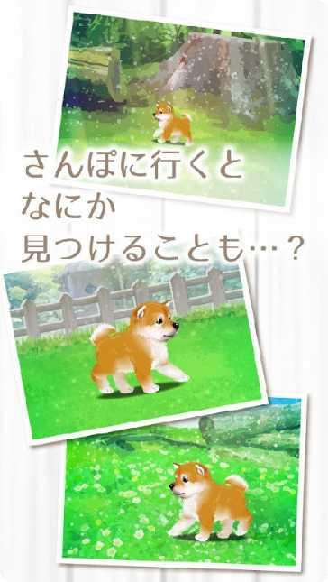 治愈系海蜇养成心得