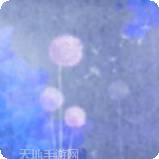 蒲公英的花园