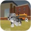 猫咪公社