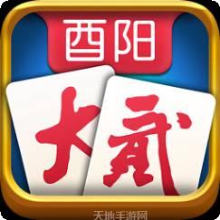 酉阳大贰