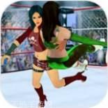 超级明星曲棍球