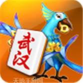博雅武汉麻将