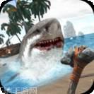 鲨鱼大乱斗