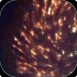 吞星